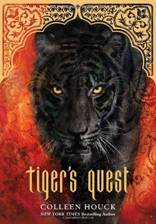 Children's Lion, Tiger & Leopard Books (Books)
